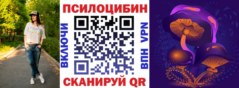 купить наркотик  Новодвинск  Псилоцибиновые грибы Psilocybe 